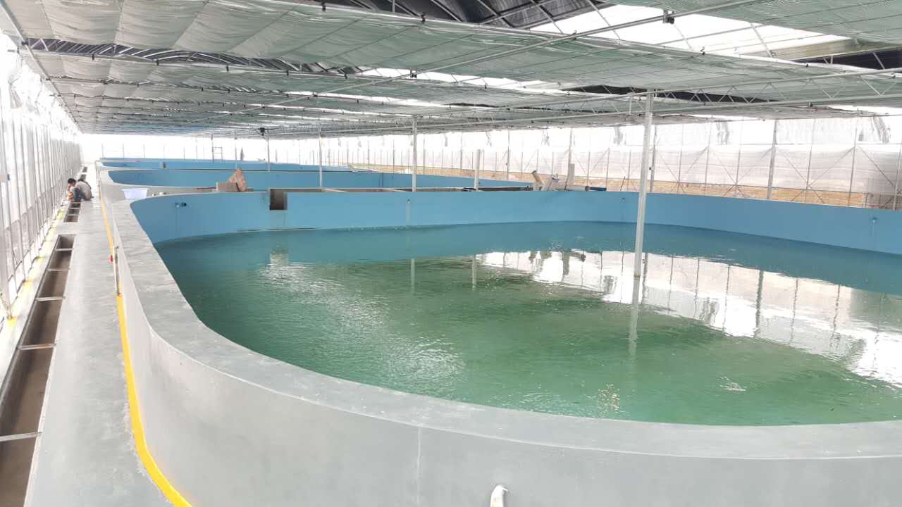 通化环保养殖池供应