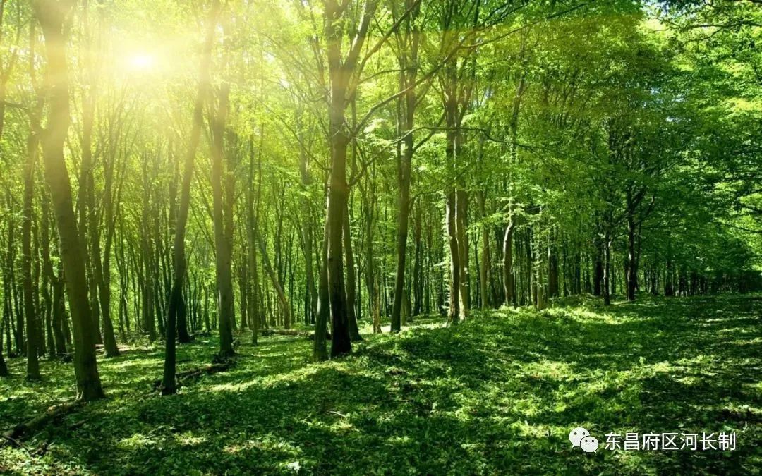 污水中含磷高怎么处理_生活污水含磷_生活污水中含磷化合物主要是